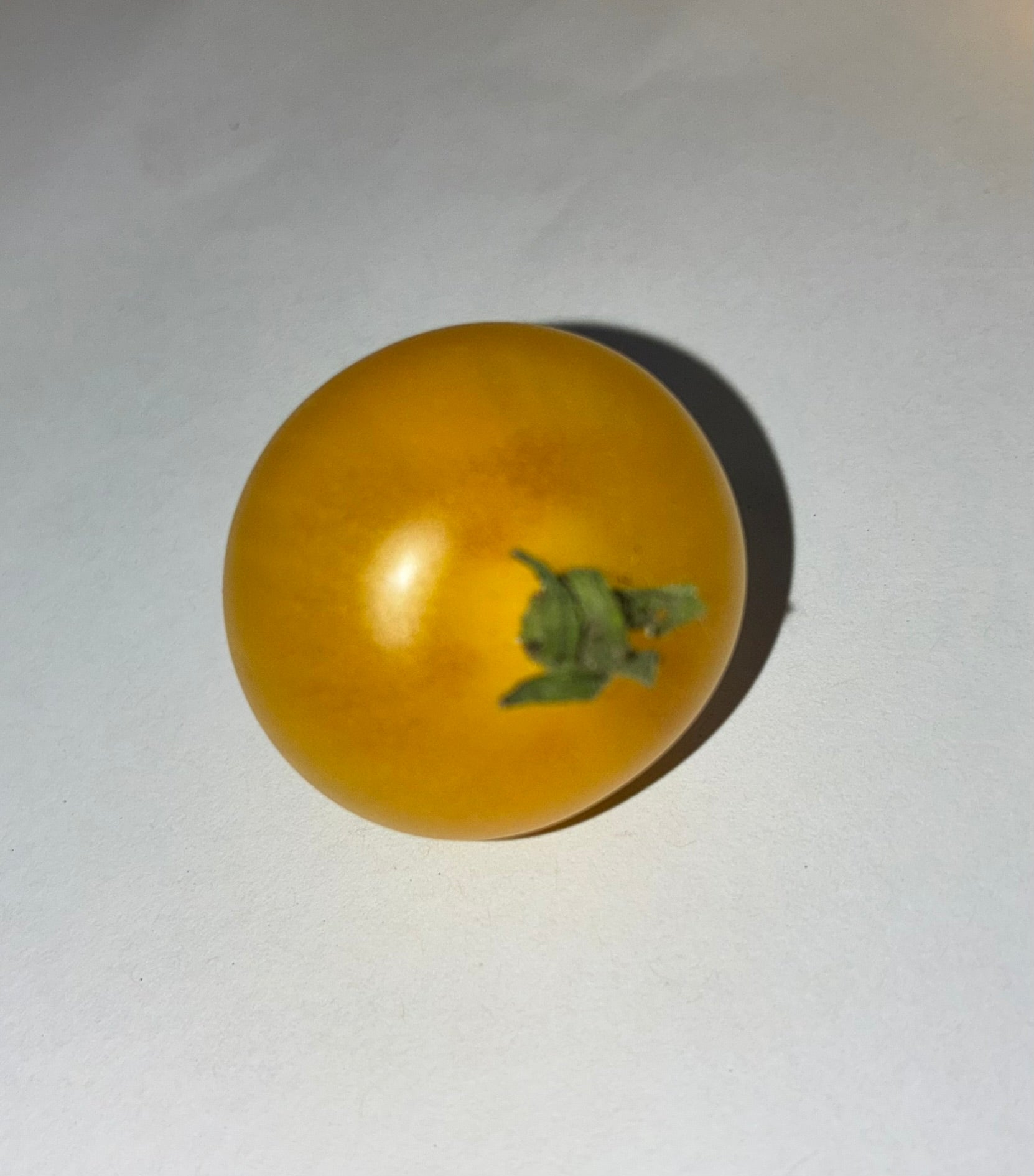 Flora Gold Basket Tomato Seeds