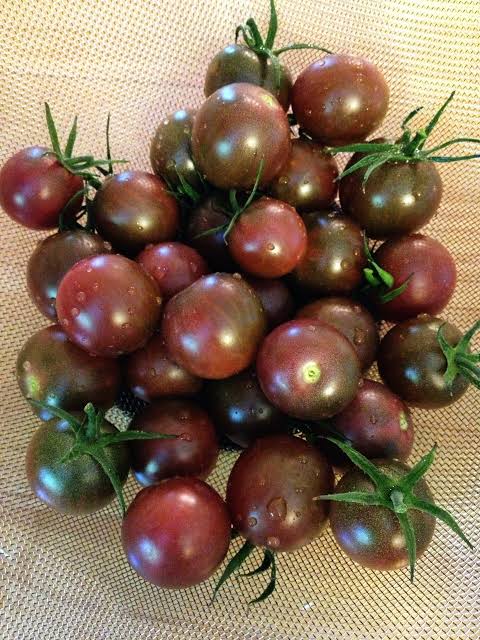 Chocolate Cherry Tomato Seeds