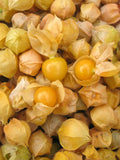 Cape Gooseberry Seeds